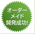 オーダーメイド開発成功！