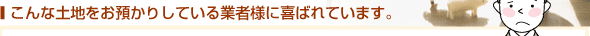 こんな土地をお持ちの方に喜ばれています。